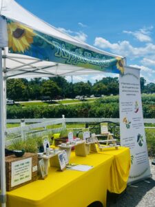 Boone Hall Plantation Sunday Market July 2025