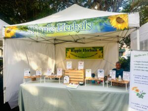 Downtown Charleston Farmers Market Marion Square